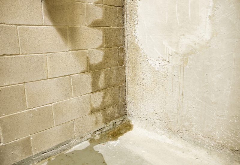 Wet Interior Basement Wall Needing Waterproofing in Gaithersburg, MD