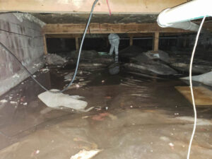 Triad Waterproofing's team member giving Crawl Space Repair service in Gaithersburg, MD